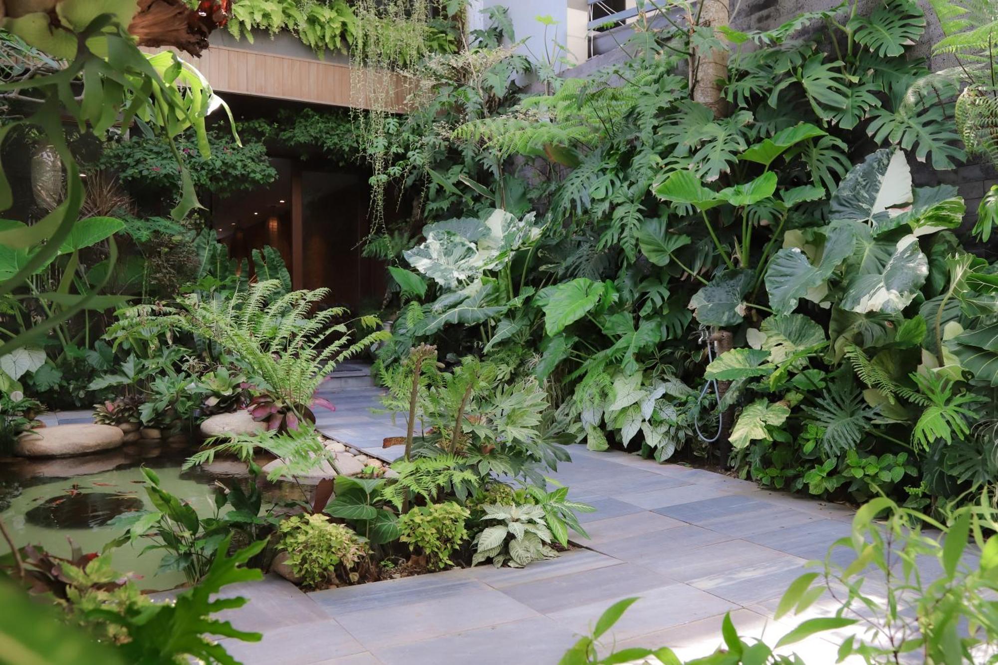 Khách sạn hẻo lánh K House
